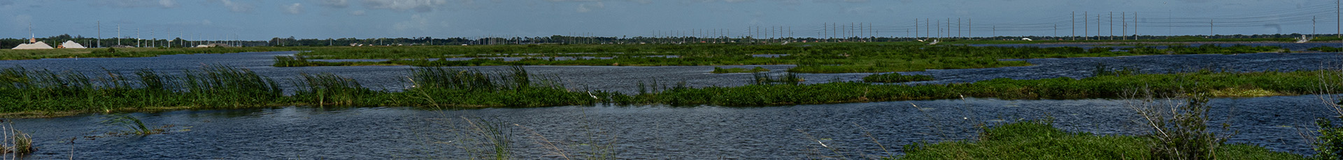Jacksonville local