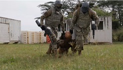 Train for Deployed Environment