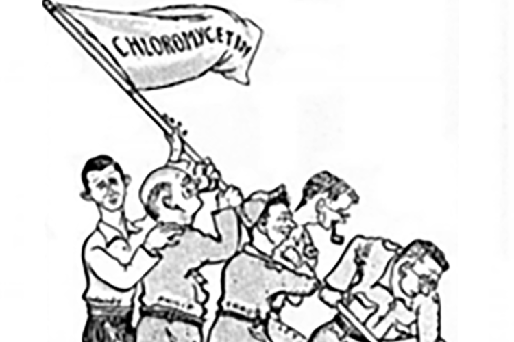 Image of 4.