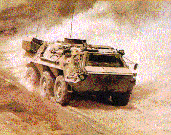 Figure 3. A Fox vehicle