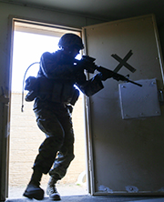 Image for Combat Operational Stress and Posttraumatic Stress Disorder