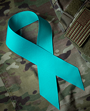 Image for Sexual Assault and Sexual Harassment