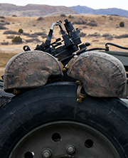 Image for TBI and Mental Health