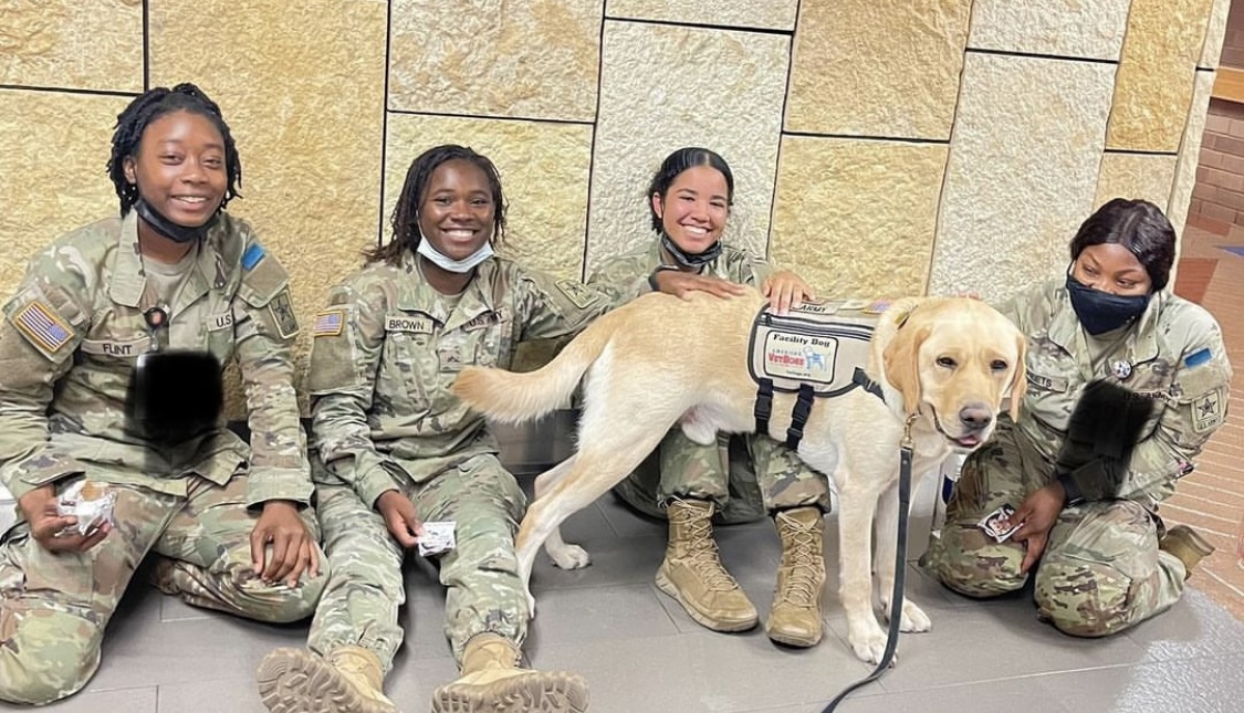 Defense Health Agency Kicks Off Dog Days of Summer, Showcases Dogs Who Support Overall Health