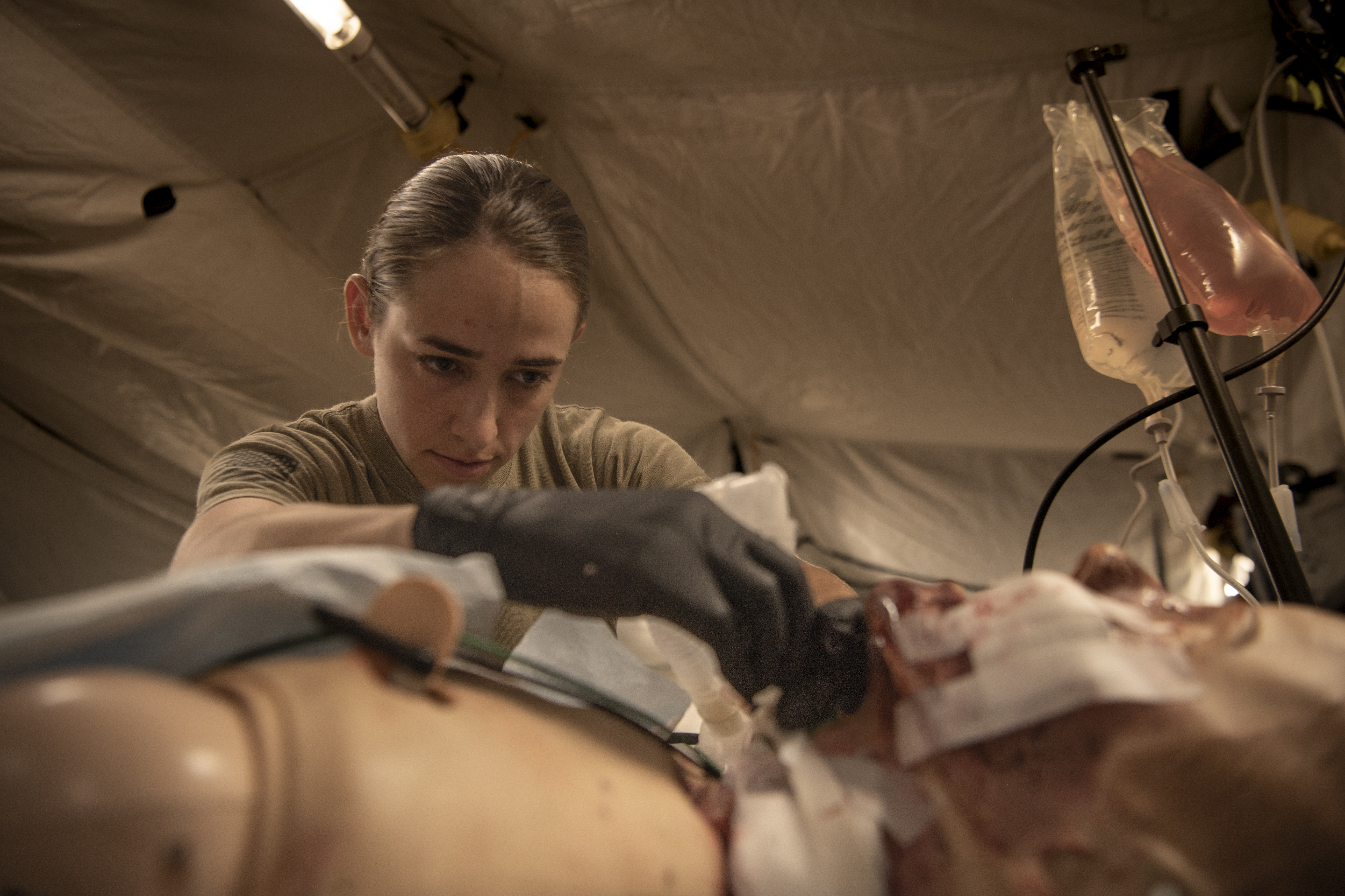 Image of Medical Modeling and Simulation Experts Make Military Exercise More Realistic, Effective.