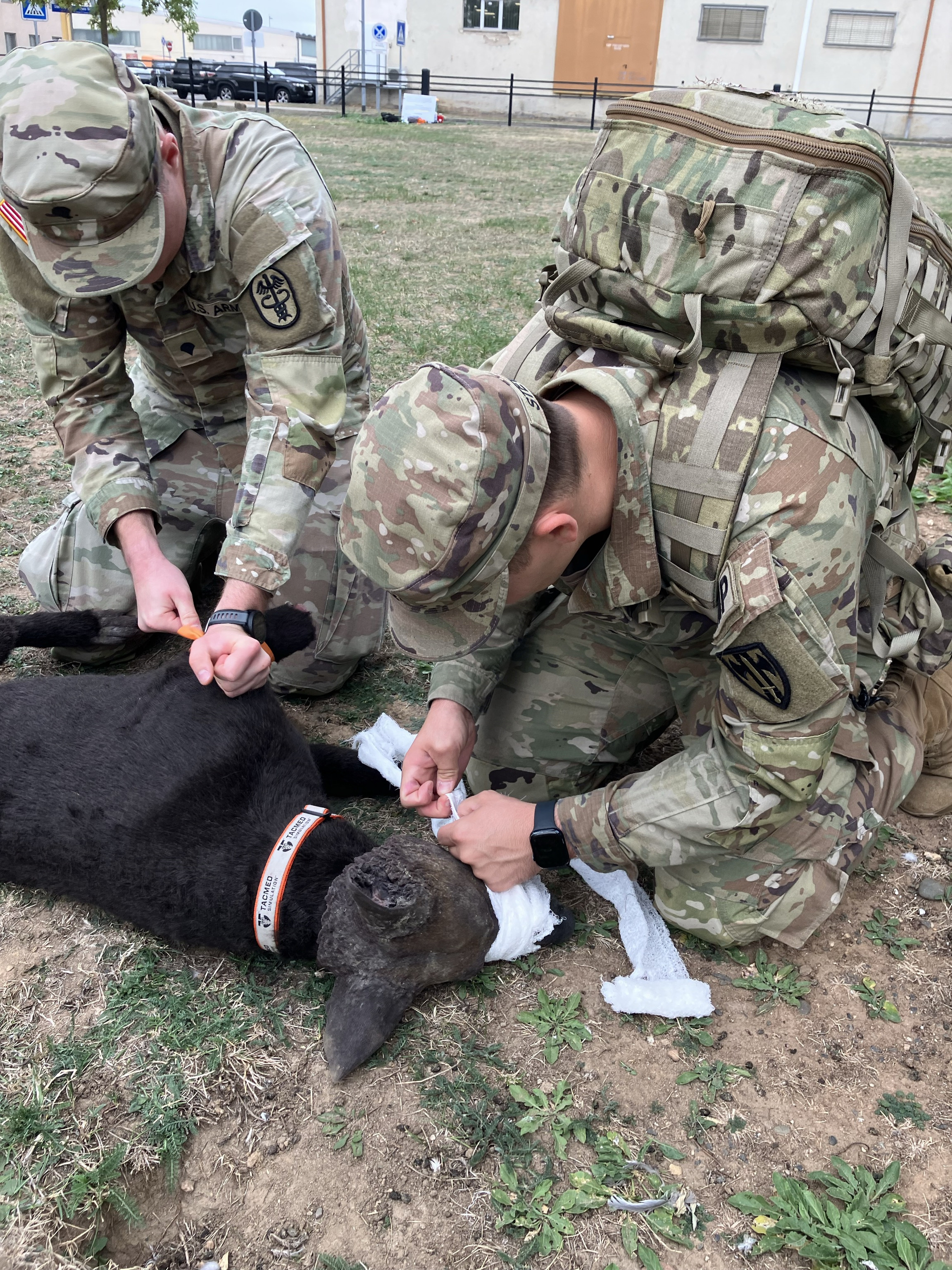 Image of Wiesbaden Conducts Multi-Echelon MWD CASEVAC and K9TCCC Exercise.