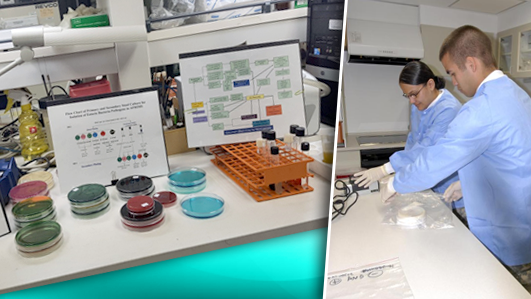 Pictured GEIS laboratory scientists and the enteric infections surveillance work they do.