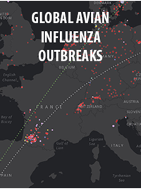 Global Avian Influenza Outbreaks product. Since late 2015, a large number of varying subtypes of avian influenza outbreaks have impacted countries around the world. The Global avian influenza outbreaks interactive product illustrates the overlap of zoonotic influenzas among humans and animals with an infographic, time animation and interactive maps. 