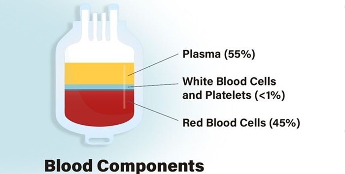 Blood Components Infographic