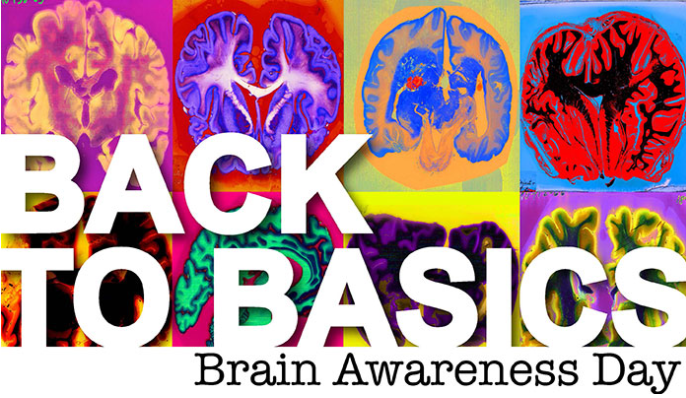 Back to Basics, Brain Awareness Day