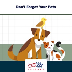 Image of dog and cat with text "Don't forget your dogs and cats"