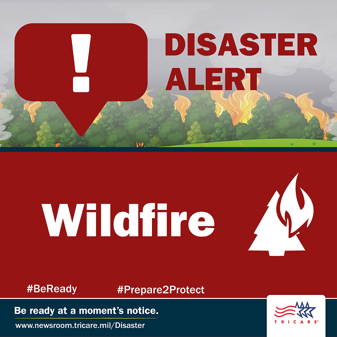 Link to Infographic:  Wildfire: Disaster alert graphic that says, "Disaster Alert: Wildfire" with an image of a wildfire.