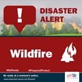 Disaster Alert: Wildfire