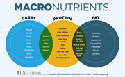 Link to biography of Macronutrients