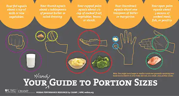  Your handy guide to portion sizes