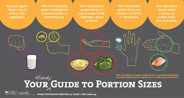 Handy guide to Portion Sizes