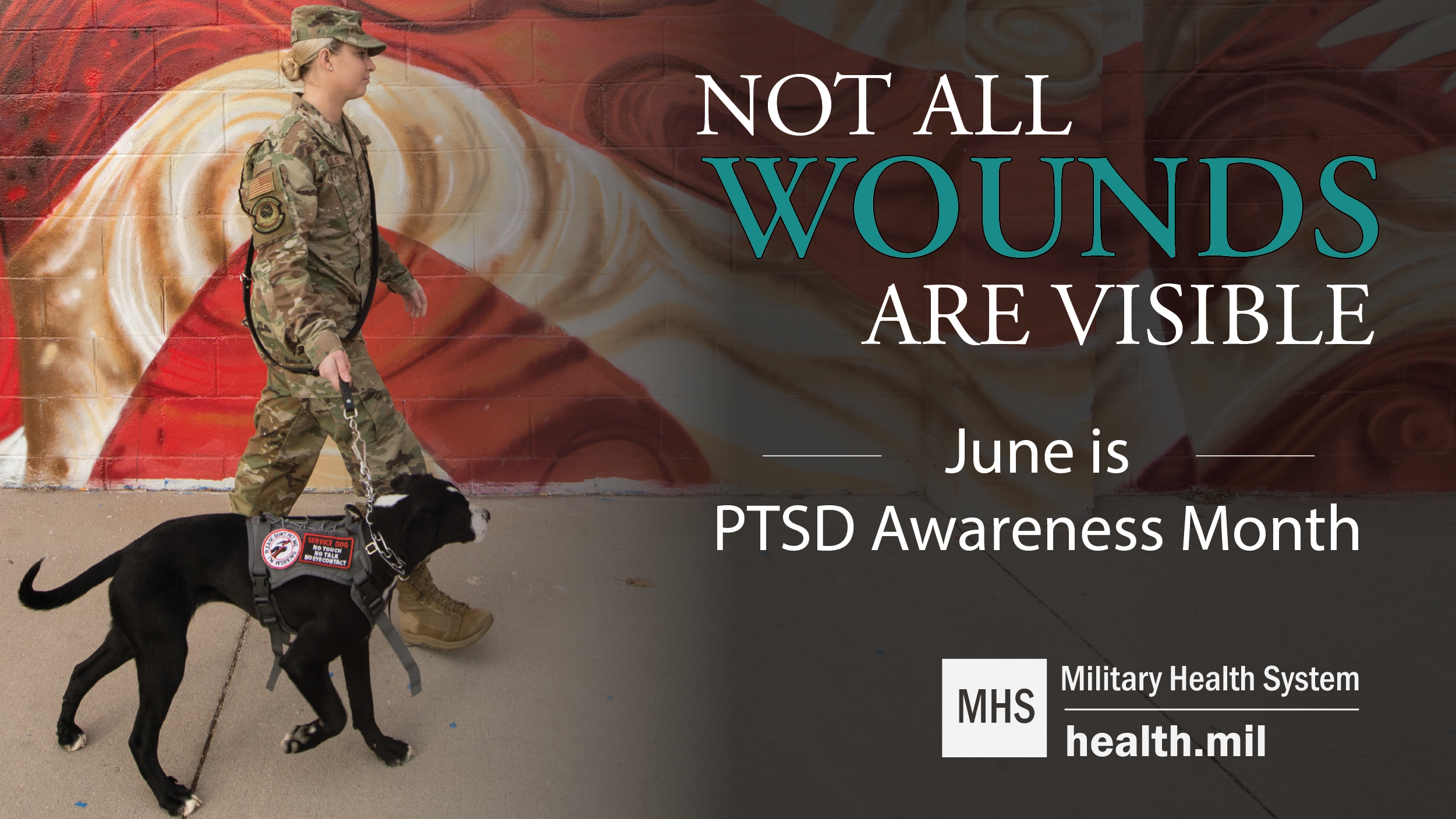 Social media graphic on PTSD Awareness Month 
