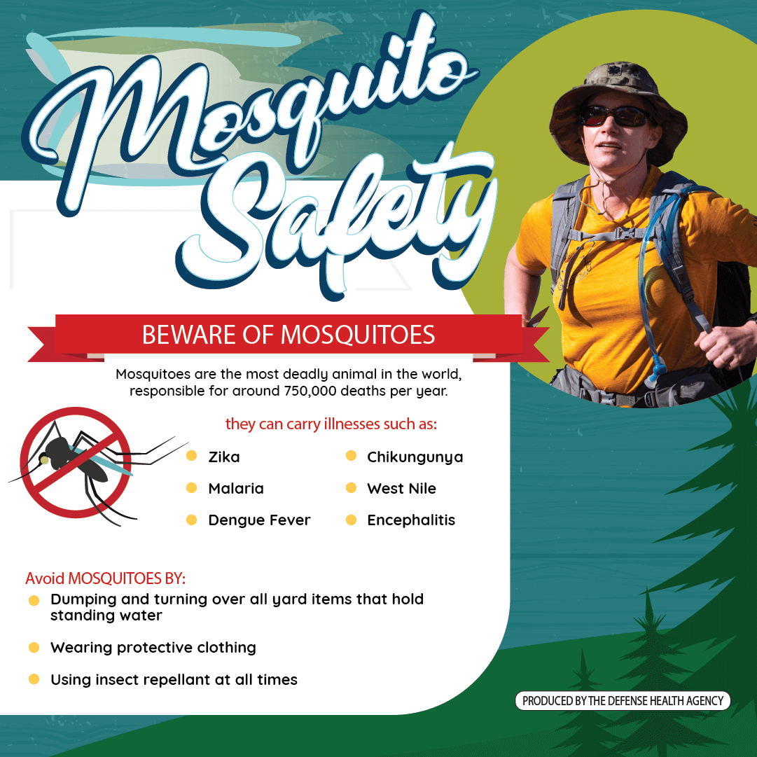 World Mosquito Day 