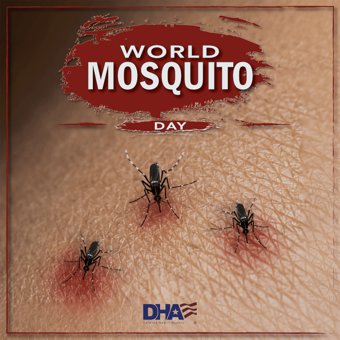 Image for World Mosquito Day