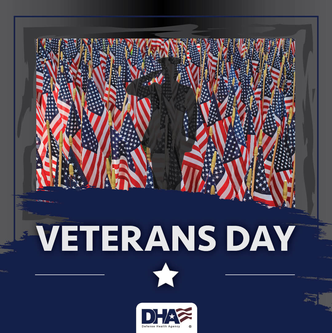 Veteran's Day Graphic