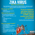 Zika Virus: What You Need to Know