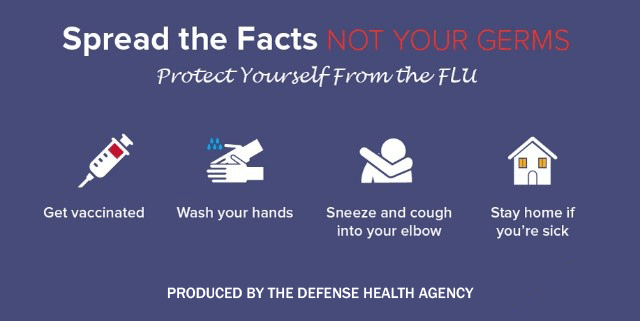 Graphic with ways to prevent the flu 