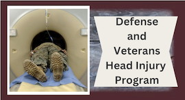 DHA 10 Yr Ann 1992 Defense Veterans Head Injury Program