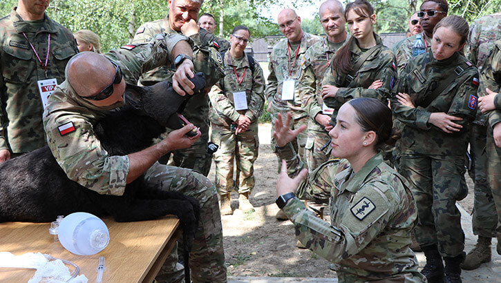 Image of Military personnel in K( casualty care briefing .