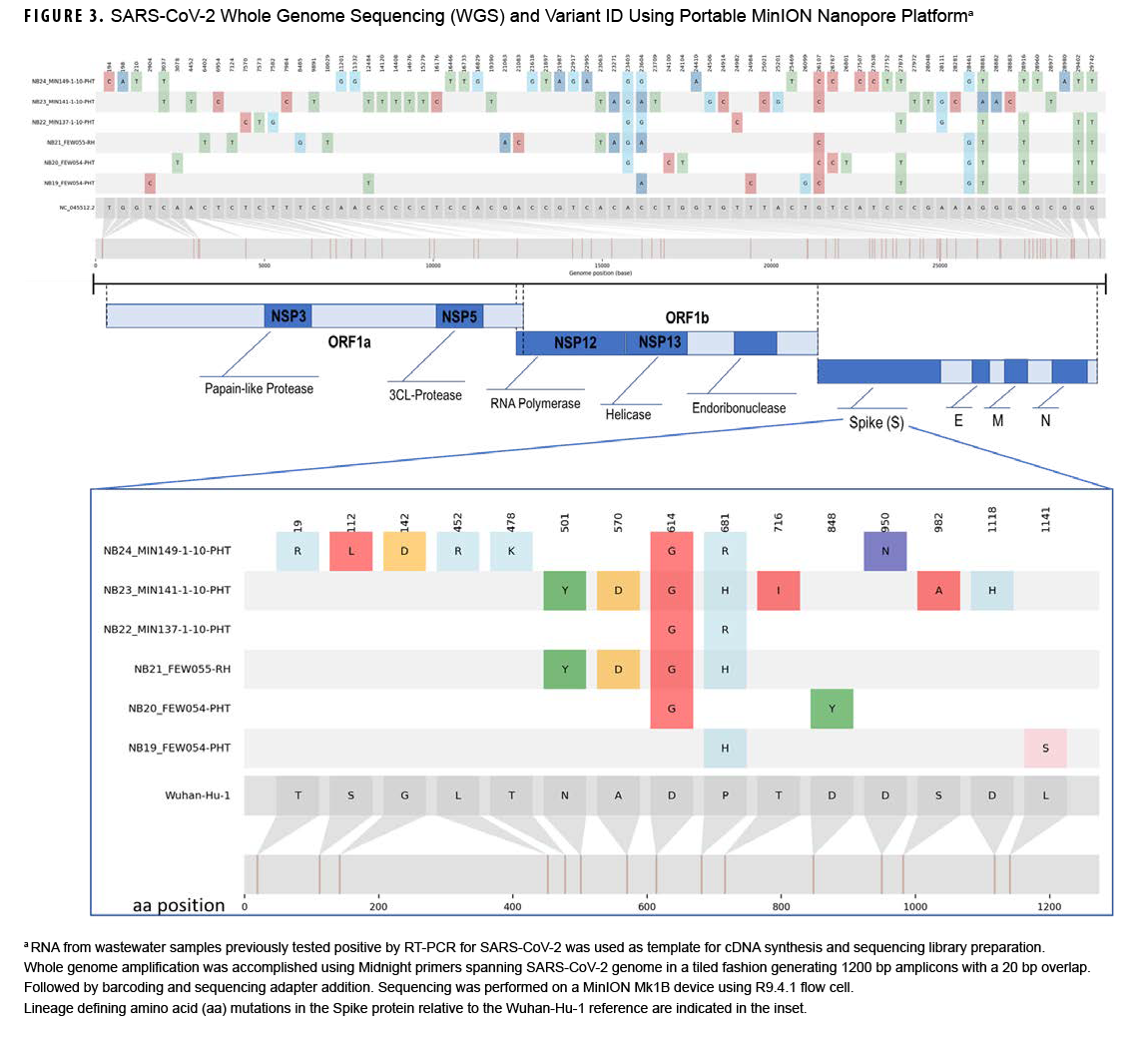 This graphic depicts the whole genome sequencing of SARS-CoV-2 and variant identification using the portable minion nanopore platform. Lineage defining amino acid substitutions in the spike protein related to the Wuhan-Hu-1 reference are shown at multiple positions for each sample tested. 