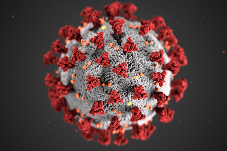 4-2871: This illustration, created at the Centers for Disease Control and Prevention (CDC), reveals ultrastructural morphology exhibited by coronaviruses. Note the spikes that adorn the outer surface of the virus, which impart the look of a corona surrounding the virion, when viewed electron microscopically. A novel coronavirus, named Severe Acute Respiratory Syndrome coronavirus 2 (SARS-CoV-2), was identified as the cause of an outbreak of respiratory illness first detected in Wuhan, China in 2019. The illness caused by this virus has been named coronavirus disease 2019 (COVID-19). (Credit: Alissa Eckert, MSMI; Dan Higgins, MAMS)