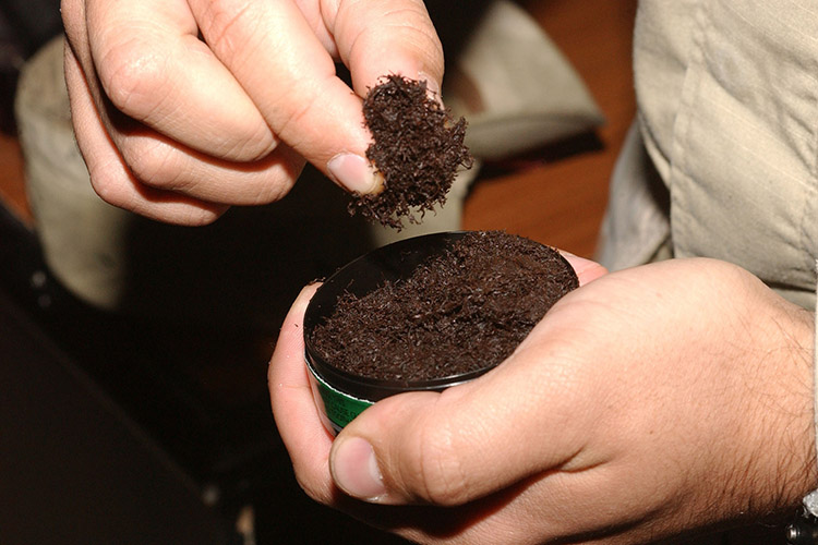 Image of Two hands holding chewing tobacco. Click to open a larger version of the image.