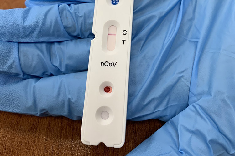 Image of Gloved hand holding an example of a negative rapid test for the SARS-CoV-2 virus (COVID-19). Click to open a larger version of the image.