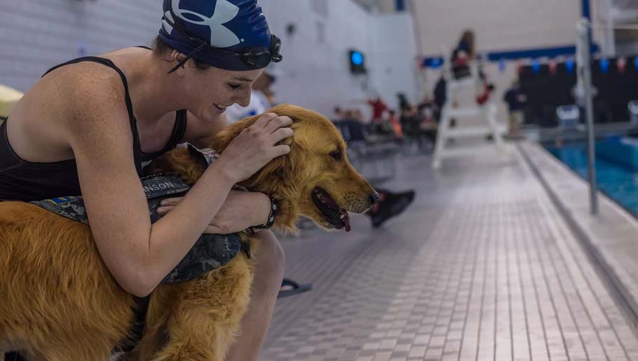 Military personnel with their service dogs during swim practice