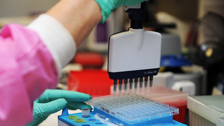 Image of person testing genomes in a lab