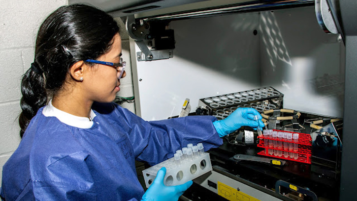 Research associate, Ambar Rodriguez-Martinez, working in a lab.   