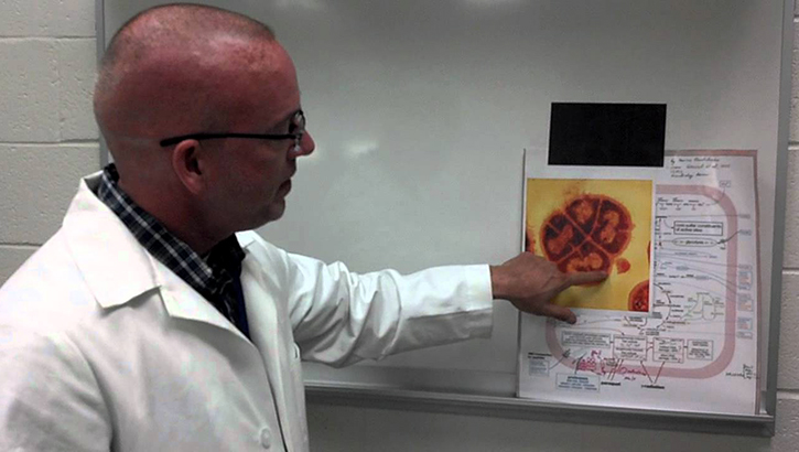 Man wearing lab coat points to image of bacteria
