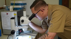 Hospital Corpsman Second Class Logan T. Pentz, a Preventive Medicine Technician assigned to Naval Medical Readiness and Training Command Rota, examines a specimen using a microscope as part of routine public health surveillance