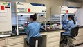 Lab technicians doing genome research
