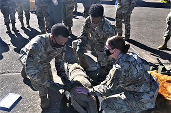 Military members secure an injured canine for transportation