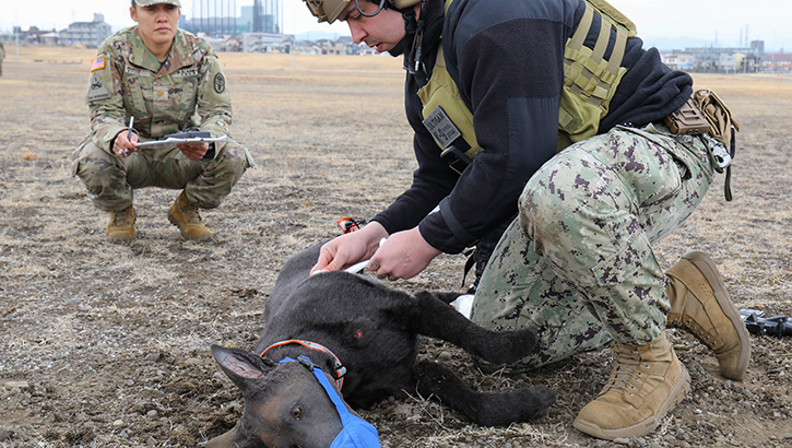 U.S. Navy Petty Officer 2nd Class Jon Siltman, right, a military dog handler at Naval Air Facility Atsugi, treats wounds on a life-like animatronic dog during a K-9 tactical combat casualty care exercise at Sagami General Depot, Japan, on Feb. 24. (Photo by Sean Kimmons, U.S. Army Garrison Japan Public Affairs)