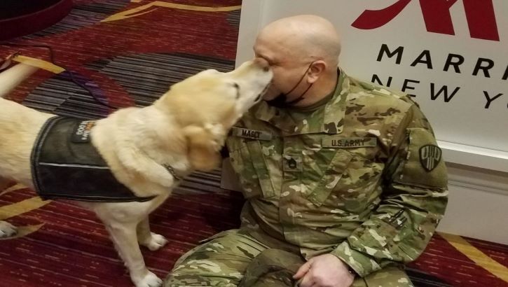 Image of Military personnel playing with a therapy dog.