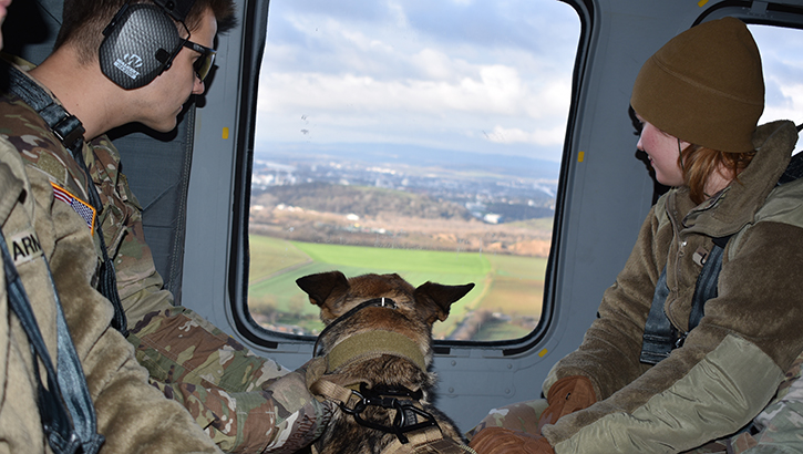 Military personnel and their military working dog