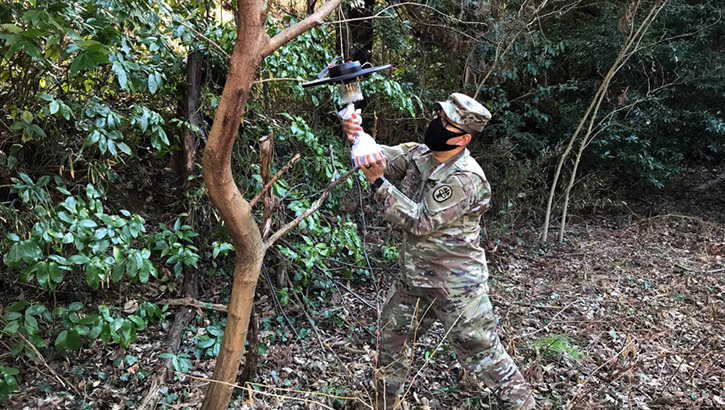Military personnel wearing a face mask hanging a light in a tree