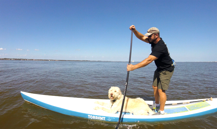 Collins enjoys stand-up paddle boarding for how it helps him with TBI. His service dog, Charlie, likes it too. (Courtesy Photo by U.S. Army Special Operations veteran Josh Collins)