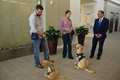 Secretary Shulkin meets service dogs Walter Reed