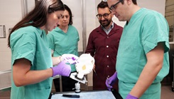 Janaina Bortolatto, vice president of Clinical Operations for Cohesys, prepares BoneTape for application on an artificial skull during a demonstration of new ultrasonic applicator for BoneTape resorbable fracture stabilization implant