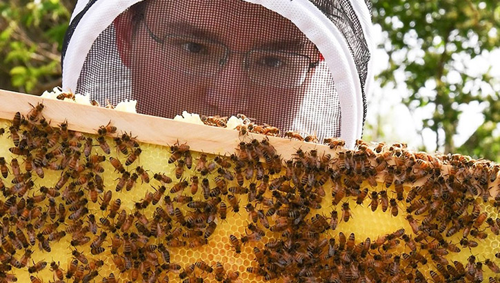 Beekeeper in protective gear holds framework with bees and honey..
