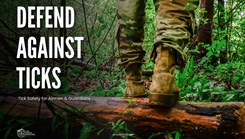 Graphic outlining tick safety for Airmen and Guardians.