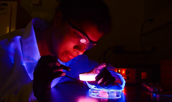 Army Research Laboratory researcher Nile Bunce uses ultraviolet light to illuminate fluorescent materials that may shed light on the effects of blast pressure on the human brain. (U.S. Army photo by David McNally)