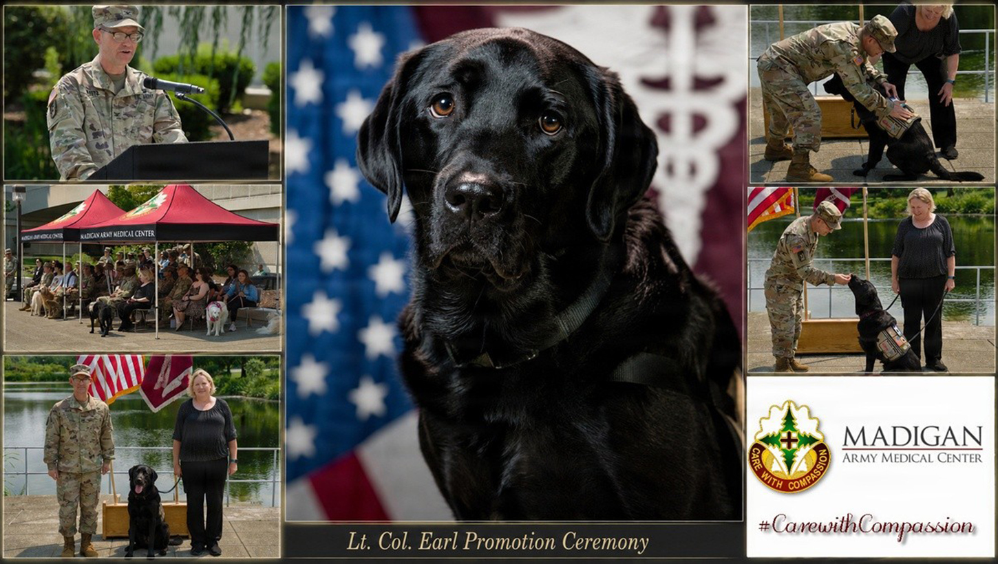 Earl, a black Labrador retriever